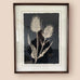 Set of Two black Retro Floral Framed Prints 70cm