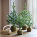 Everland's Moss Ball Mini Christmas Tree for indoors 60cm