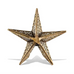 Bishaka Star Tree Topper 19cm