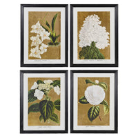 Framed Set of Four White Florals Wall Art 60cm | Annie Mo's