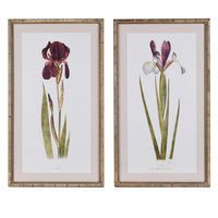 Set of Two Iris Framed Wall Art 70cm | Annie Mo's