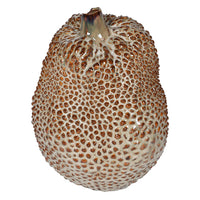 Glazed Textured Durian Vase 23cm | Annie Mo's