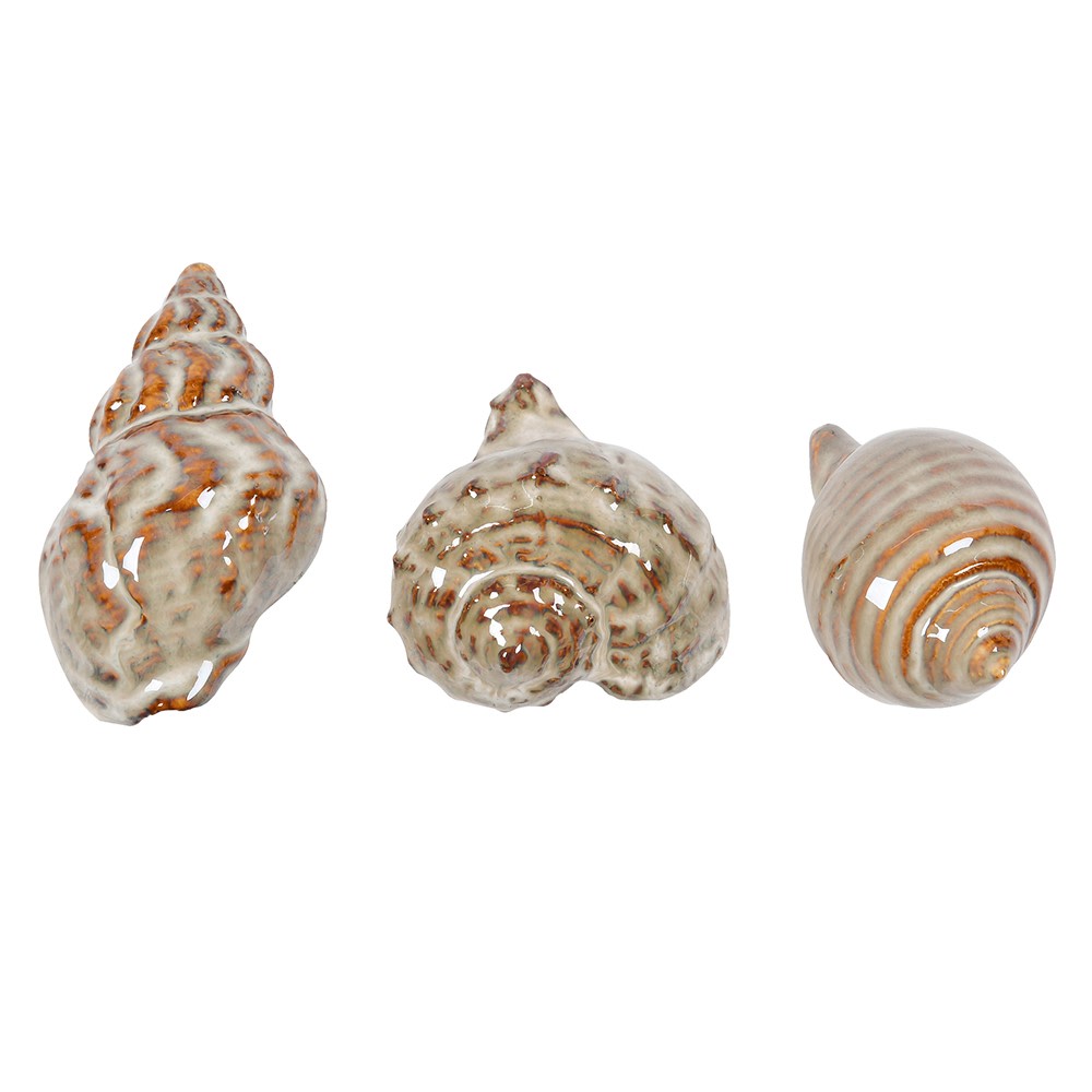 Set of Three Ceramic Seashells 8cm | Annie Mo's