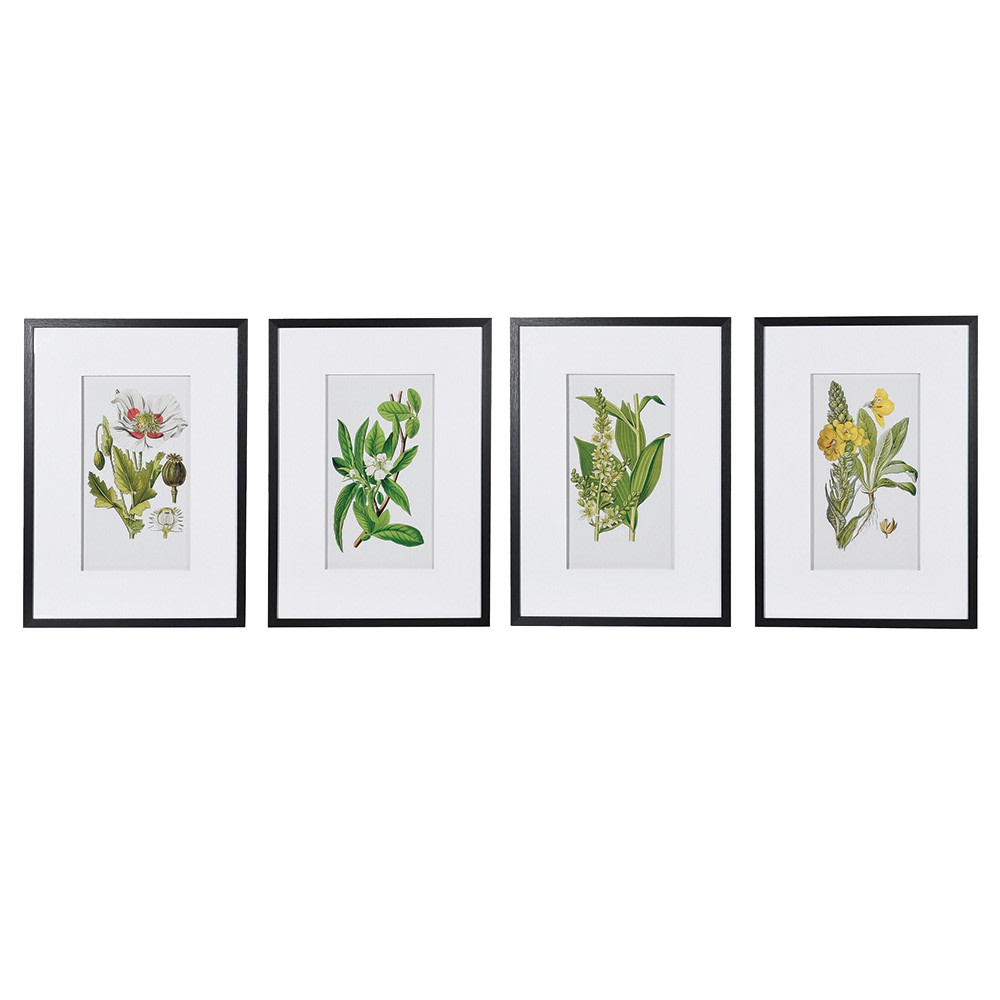 Set of Four Framed Floral Pictures 70cm | Annie Mo's