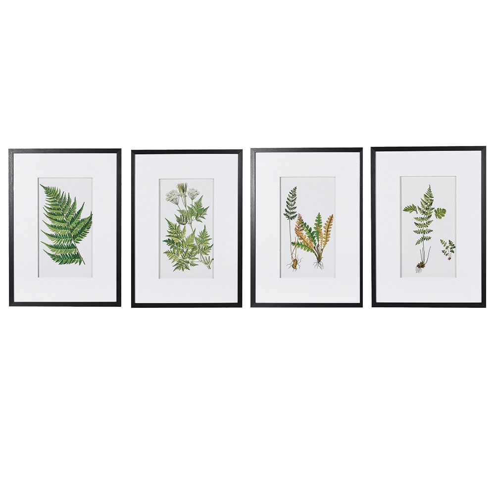 Set of Four Framed Fern Floral Pictures 70cm | Annie Mo's