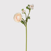 Apricot Blush Real Feel Ranunculus with Leaves 56cm | Annie Mo's