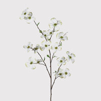 Touch of Green Dogwood Spray 105cm | Annie Mo's