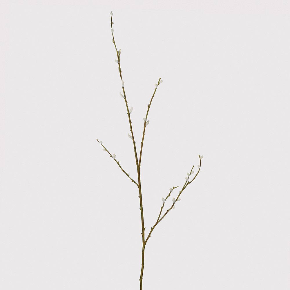 Large Pussy Willow Stem 130cm | Annie Mo's