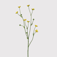 Meadow Buttercup Spray with Leaves 70cm | Annie Mo's