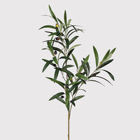 Large Olive Branch with Leaves 110cm | Annie Mo's