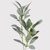 Natural Flocked Lamb's Ear Leaf Spray 72cm