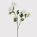 White Aquilegia Spray with Leaves 68cm | Annie Mo's