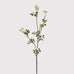 White Wax Flower Stem with Leaves 65cm | Annie Mo's