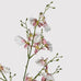 Ballerina Dancing Orchid Stem Spray 90cm