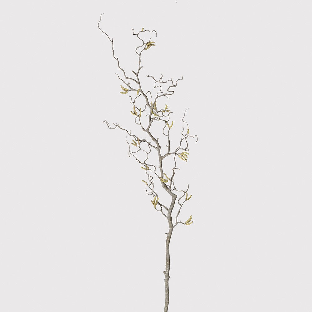 Contorted Willow Branch with Catkins 115cm | Annie Mo's