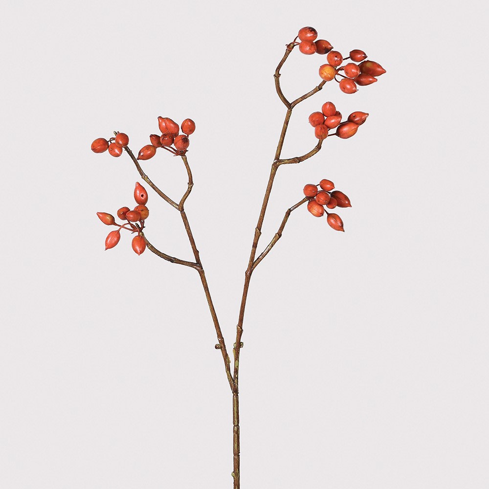 Rosehip Berries Spray 80cm | Annie Mo's