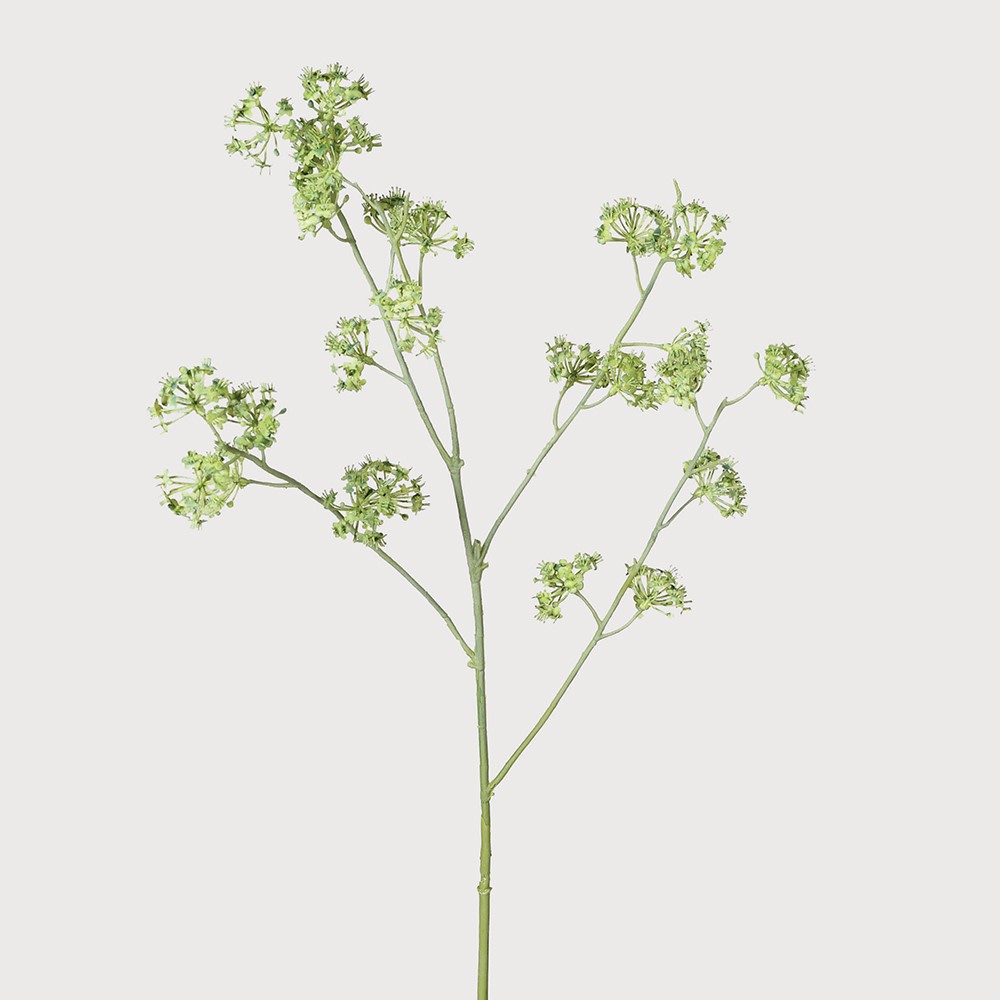 Green Sea Kale Spray 83cm | Annie Mo's