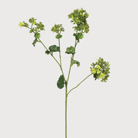 Lady's Mantle Spray with Leaves 72cm | Annie Mo's