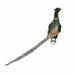 Large Green Standing Pheasant 75cm