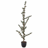 Deco Christmas Tree with Pot 150cm | Annie Mo's