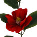 Deep Red Magnolia Spray 66cm