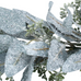 Frosted Eucalyptus Leaf Garland with Mini Berries