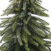 Green Fir Tree on Log with Golden Sparkles