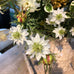 White Aquilegia Spray with Leaves 68cm