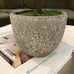 Green Miniature Boxwood Ball in Stone-Look Pot 38cm