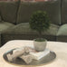 Green Miniature Boxwood Ball in Stone-Look Pot 38cm