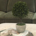 Green Miniature Boxwood Ball in Stone-Look Pot 38cm