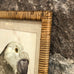 Set of Two Grey Framed Parrot Pictures 70cm