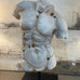 Male Torso on Stand 65cm