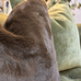 Faux Fur Brown Bear Cushion 43 x 43cm 2