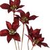 Metallic Burgundy and Golden Poinsettia Spray