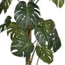 Green Monstera Tree in Black Plastic Pot 156cm