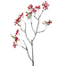 Red Mini Berry Twig Branch | Annie Mo's