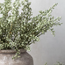 Sage Heather Faux Stem 45cm | Annie Mo's