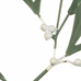 Sprig of Tin Mistletoe 15cm