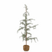 Tall Thin Christmas Tree in Pot 150cm | Annie Mo's