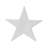 White Dolomite Star 25cm | Annie Mo's