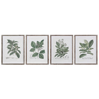 Set of Four Perennial Herbs Wall Art 65cm | Annie Mo's