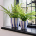 Beacon Tapered Blue Stripe Ceramic Pot