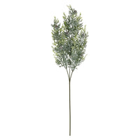 Frosted Pine Tall Stem With Pinecones 77cm | Annie Mo's