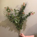 Large Natural Blush Eucalyptus Spray 100cm