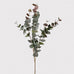 Large Natural Blush Eucalyptus Spray 100cm | Annie Mo's