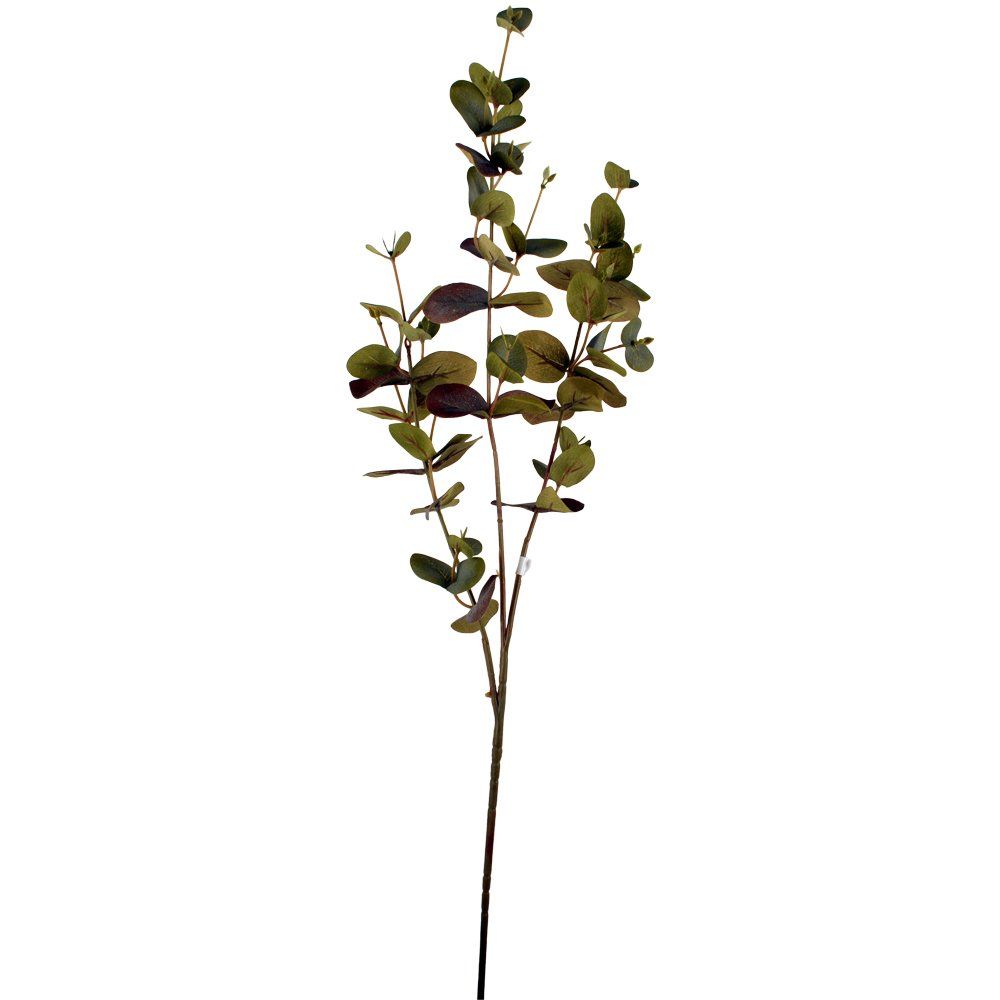 Eucalyptus Stem 70cm | Annie Mo's